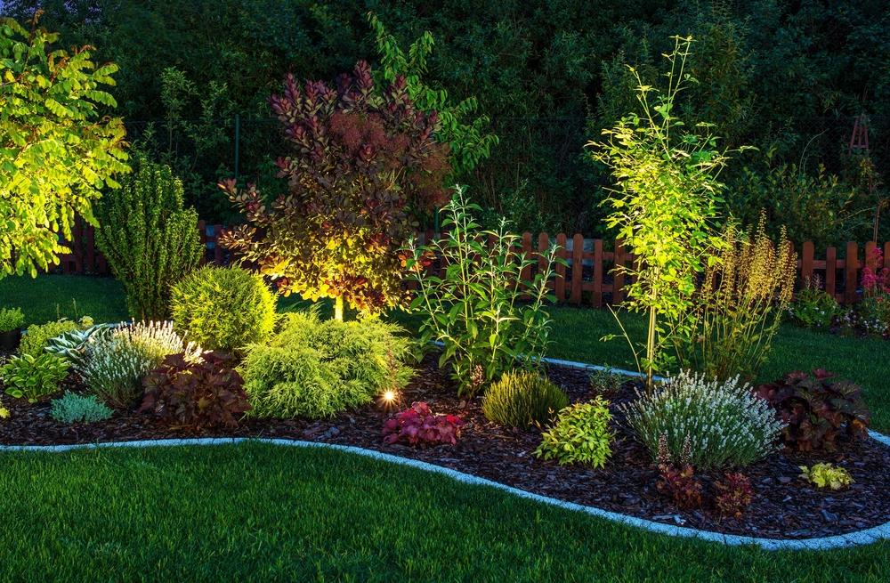 Illuminated,Garden,By,Led,Lighting.,Backyard,Garden,At,Night,Closeup